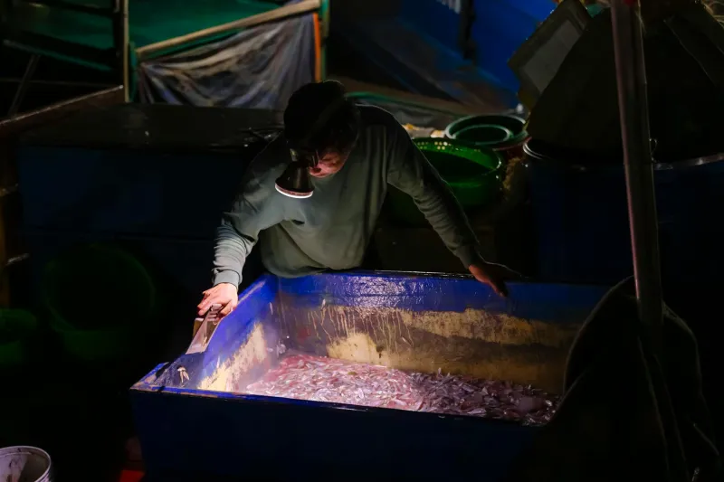 How Fish Workers Cracked the Code on Saving Money When You Never Know Your Next Paycheck
