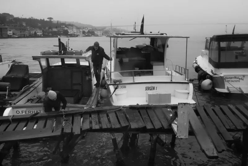 Before FEMA, There Were Fishermen: How Maine Lobstermen Created America's First Disaster Insurance