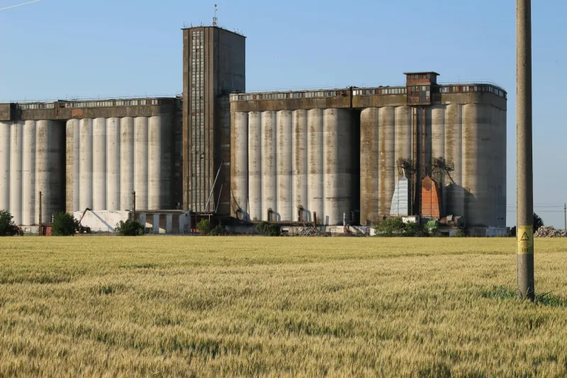 How Muddy Farmers Created Wall Street's Most Important Tool (By Accident)